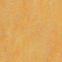   Forbo Marmoleum Vivace (3411 Sunny Day)