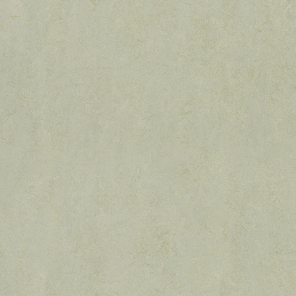 Forbo Marmoleum Fresco (3884 Frost) - зображення 1