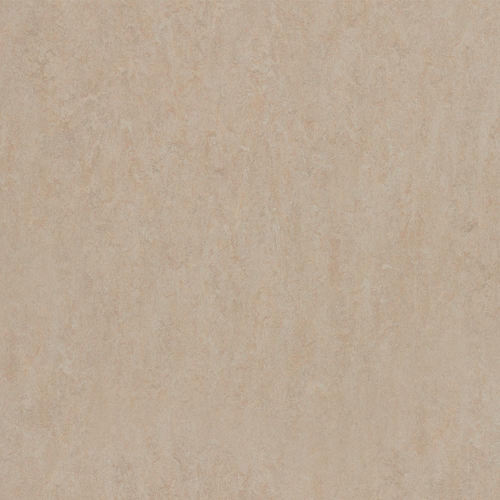 Forbo Marmoleum Fresco (3871 Silver Birch) - зображення 1