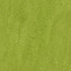 Forbo Marmoleum Decibel (324735 Green) - зображення 1