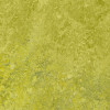 Forbo Marmoleum Decibel (322435 Chartreuse) - зображення 1