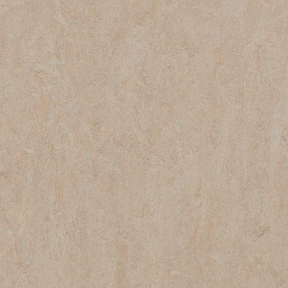 Forbo Marmoleum Click (753871 Silver Birch) - зображення 1