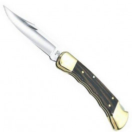   Buck Folding Hunter (110BRSFGB)