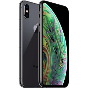 Apple iPhone XS Max Dual Sim 256GB Space Grey (MT742) - зображення 1