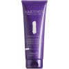 FarmaVita Amethyste Silver Mask Фарбуюча маска для світлих сріблястих відтінків, нейтралізує жовті відтінки 25 - зображення 1