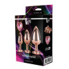 Dream toys Набор радужных анальных пробок GLEAMING LOVE MULTICOLOUR PLUG SET (DT21792) - зображення 2