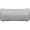 Sony SRS-XG300 Grey (SRSXG300H.RU4) - зображення 1