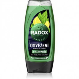   Radox Men Feel Strong гель для душу та шампунь 2 в 1 Mint & Tea Tree 225 мл