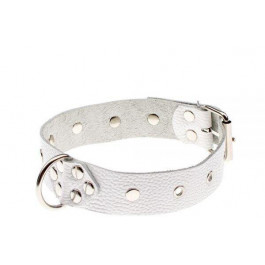   Slash Dominant Collar, white (SL280168)