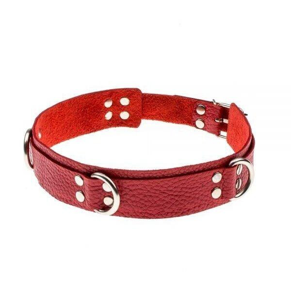 Slash Slave leather collar, red (SL280241) - зображення 1