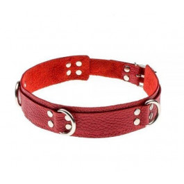   Slash Slave leather collar, red (SL280241)