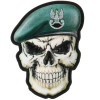 M-Tac Нашивка  Skull in Beret Special Forces 3D PVC - темно-зелена (52338201) - зображення 1