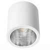 Kanlux Светильник Downlight Nikor DLP-60-W (7210) - зображення 1