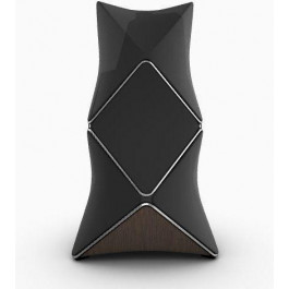   Bang & Olufsen BeoLab 90 Silver-Black