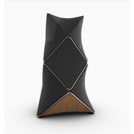   Bang & Olufsen BeoLab 90 Brass Tone-Black