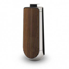   Bang & Olufsen BeoLab 50