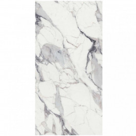   Rex Origines argent 80x180 glossy 10 mm (770438)