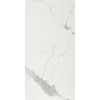 Cerim Timeless Calacatta Nat 30x60 (746806) - зображення 1