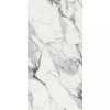 Rex Les Origines Argent 60x120 (769859) - зображення 1