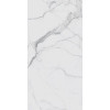 Rex I Classici Statuario 60X120 glossy (746592) - зображення 1