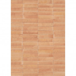   Marazzi Modernista Rosa 6х24 10mm (MA9Q)