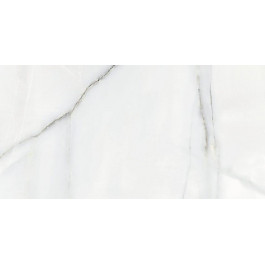   Azulejos Benadresa NEWBURY WHITE PULIDO RECT 60x120 плитка для підлоги і стін