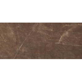   Raviraj Ceramics Плитка підлогова Armani Coffee POL 60x120