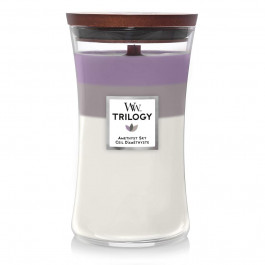   WoodWick Ароматична свіча  Large Trilogy Amethyst Sky 609 г (1707526E)