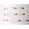 MiLight SMD5050 RGBW 4200К 60шт/м 19.2W/m IP20 12V (MI-LED-RGBW60NW 1220) - зображення 1