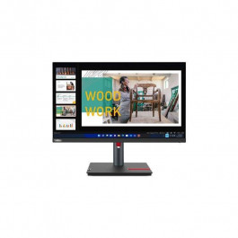   Lenovo ThinkVision P24q-30 (63B4GAT6EU)