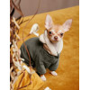 Pet Fashion Костюм  ALF Хакі S (PR243000) - зображення 4