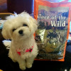 Taste of the Wild High Prairie Puppy - зображення 7