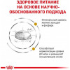 Royal Canin Urinary S/O Feline 9 кг (3901009) - зображення 3