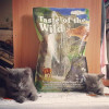 Taste of the Wild Rocky Mountain Feline Formula 2 кг (2591-HT18) - зображення 3