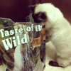 Taste of the Wild Rocky Mountain Feline Formula 2 кг (2591-HT18) - зображення 5