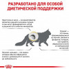 Royal Canin Urinary S/O Feline 9 кг (3901009) - зображення 9