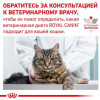 Royal Canin Urinary S/O Feline 9 кг (3901009) - зображення 10