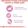 Royal Canin Kitten Sterilised in Gravy 85 г (1071001) - зображення 4