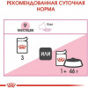 Royal Canin Kitten Sterilised in Gravy 85 г (1071001) - зображення 7