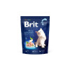 Brit Premium Kitten 800 г (8595602553037) - зображення 4