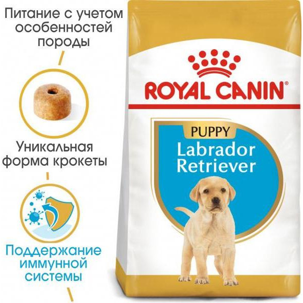 Royal Canin Labrador Retriever Puppy 3 кг (2491030) - зображення 1