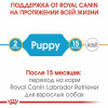 Royal Canin Labrador Retriever Puppy 3 кг (2491030) - зображення 9