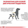 Royal Canin Urinary S/O 13 кг (3913130) - зображення 10