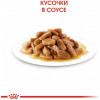 Royal Canin Mini Puppy 85 г 12 шт - зображення 5