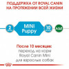 Royal Canin Mini Puppy 85 г 12 шт - зображення 8