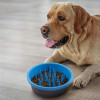 Dexas Slow Feeder Dog Bowl PW301-432-2194 - зображення 1