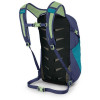 Osprey Daylite / Blue Spikemoss/Alkaline (10006028) - зображення 3