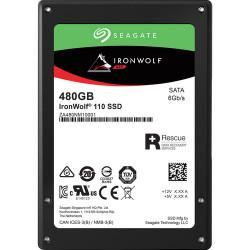   Seagate IronWolf 110 480 GB (ZA480NM10011)