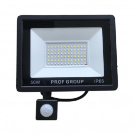   Profgroup LED прожектор с датчиком движения  LPD-50W (PG)