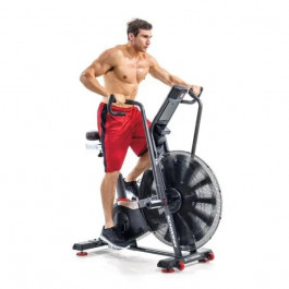   Schwinn Airdyne AD8 (SCHW100475)